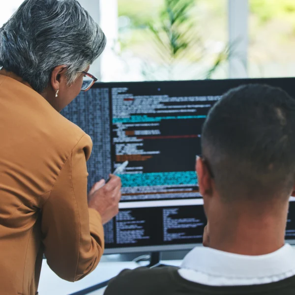 Software Development
